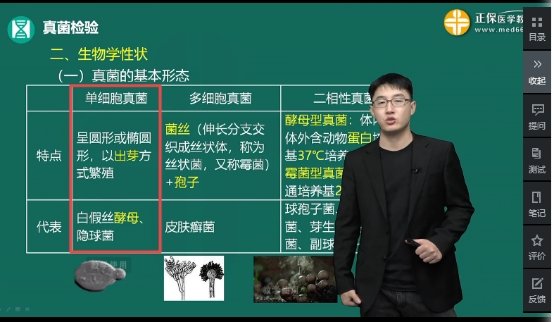 再按需打开相关阅读