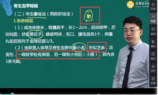 可先确认当前栏目名称